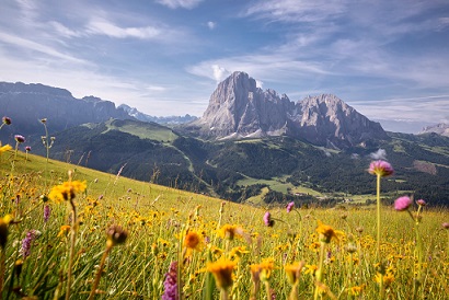 Flowering Dolomites