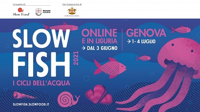 IT_Slow_Fish_