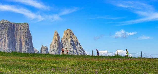Mezza Maratona Alpe di Siusi_Seiser Alm Marketing_ph. credit Indio(2)