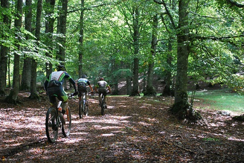 gf parco abruzzo