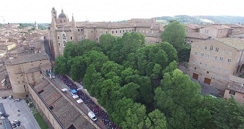 urbino_t