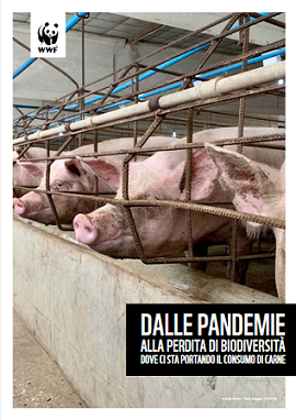 Report Allevamenti e Zoonosi wwf