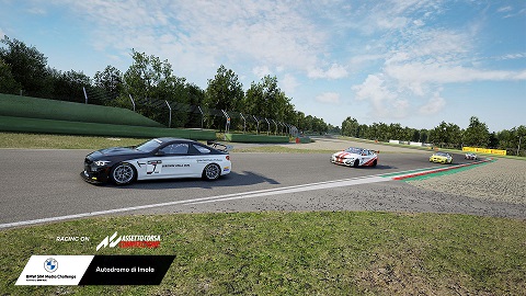 bmw sim