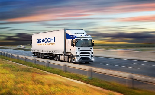 bracchi