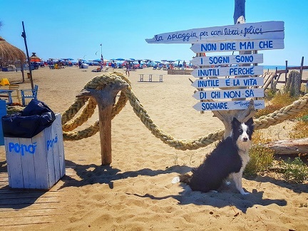 Baubeach Baubeach