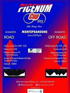 Picenum Cup Picenum Cup