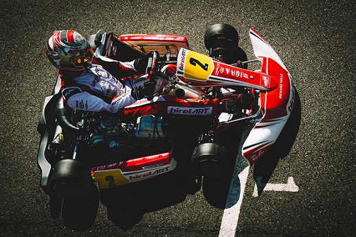 Birel Art Birel Art