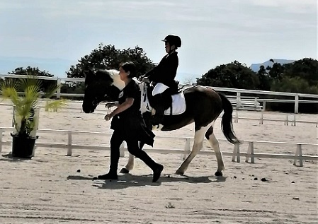 Sport Equestri Sport Equestri