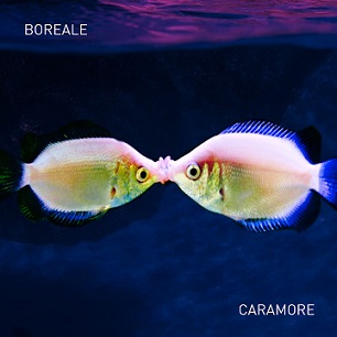 Boreale Boreale