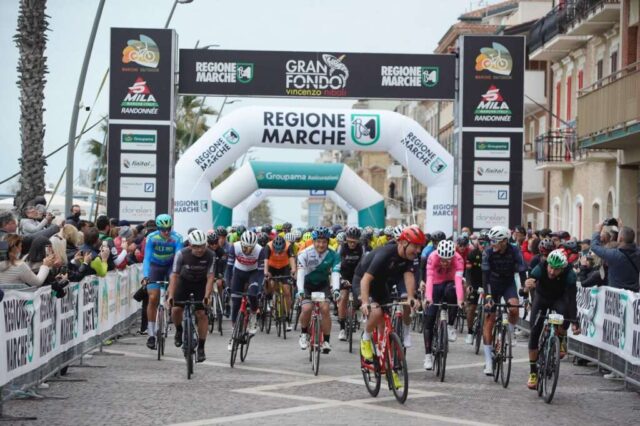 nibali