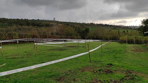 Masseria Masseria