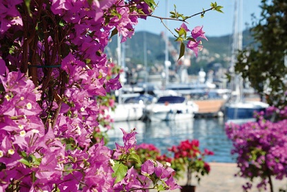 Yacht & Garden Yacht & Garden
