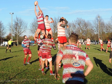 rugby rugby