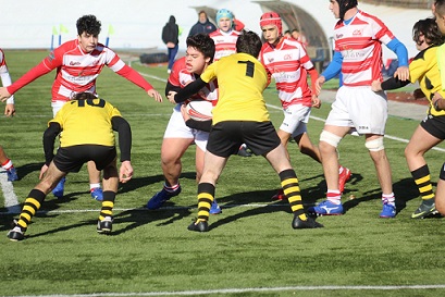 rugby rugby