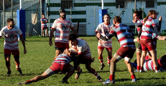 rugby rugby