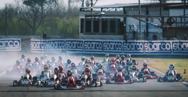 Birel Art