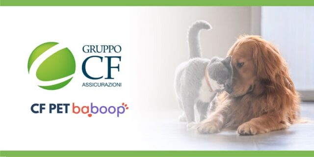 cf assicurazioni cf assicurazioni