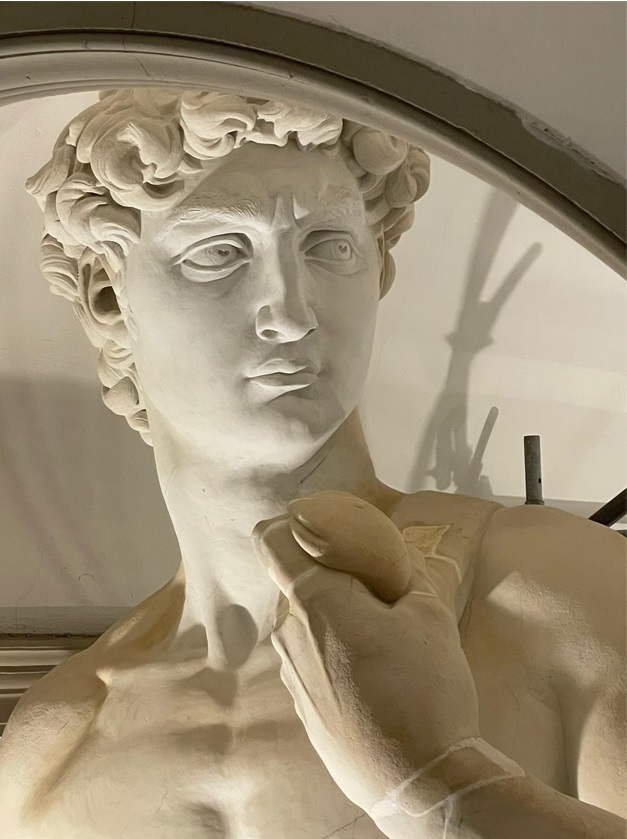 david