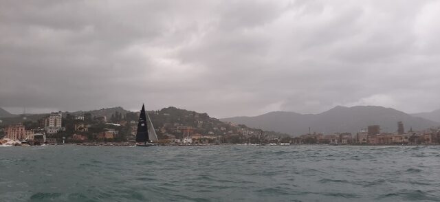 Tino Island Trophy