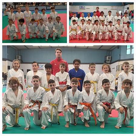 judo judo