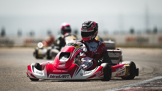 Birel Art Birel Art