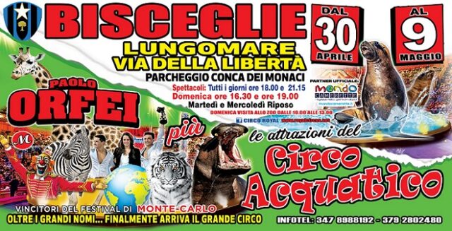 Circo Paolo Orfei