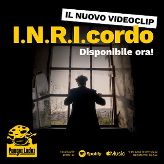 funghi ladri funghi ladri