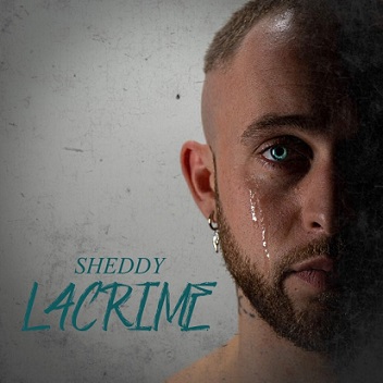 sheddy sheddy