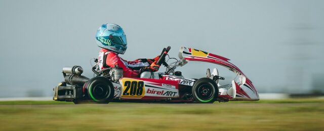 Birel Art