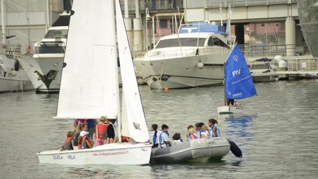 The Ocean Race
