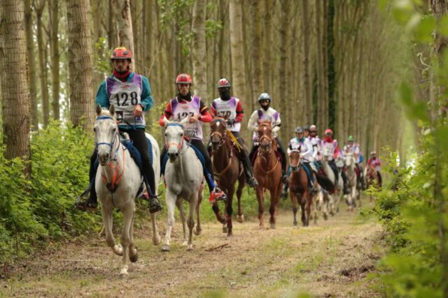Foto-endurance