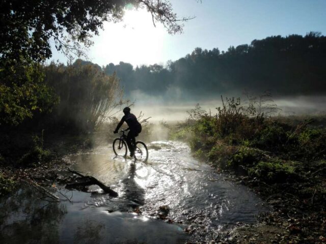 Francigena Mountain Bike