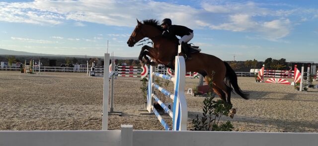 Sport equestri Sport equestri