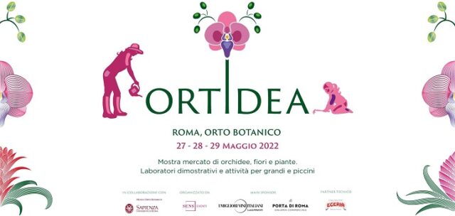 Ortidea Ortidea