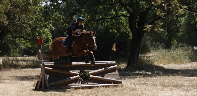 Sport equestri