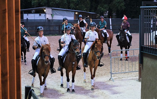 Polo Pony Polo Pony