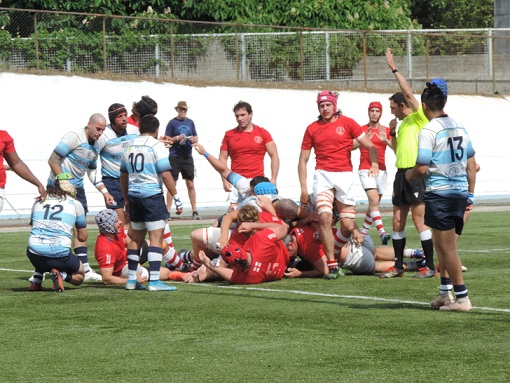 rugby rugby