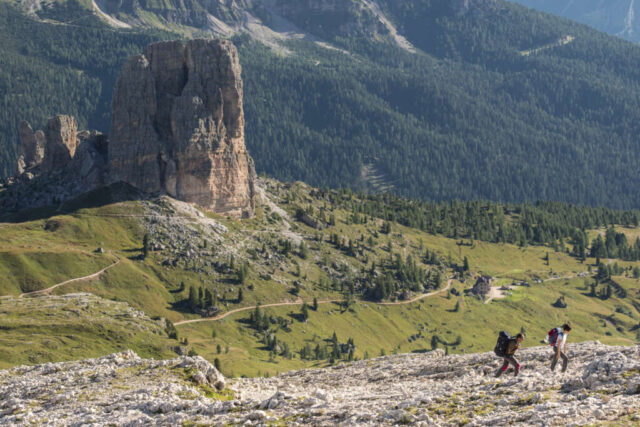 Cortina