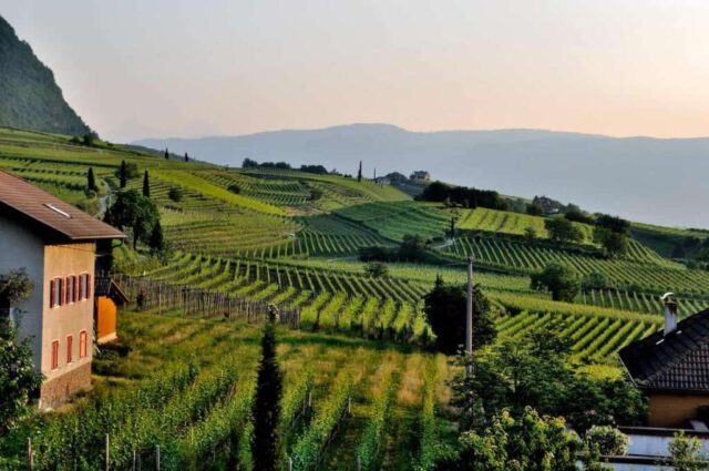 Dalla fattoria alla tavola come trasformare un casale in un agriturismo Dalla fattoria alla tavola: come trasformare un casale in un agriturismo