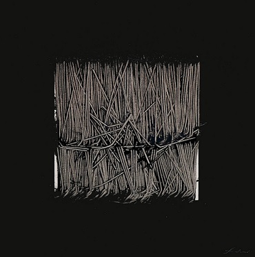 mostra mostra