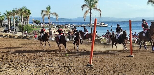 sport equestri sport equestri