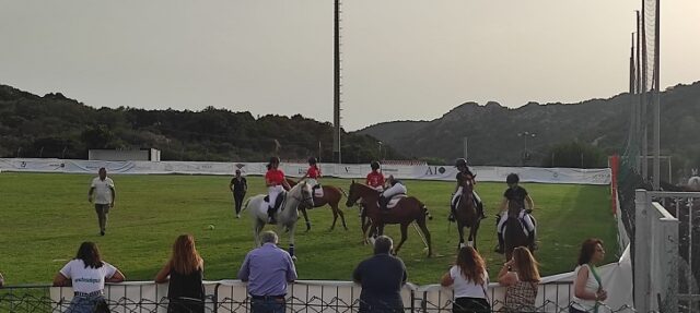 Polo Pony Polo Pony