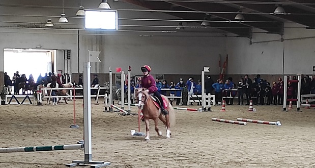 Sport Equestri Sport Equestri