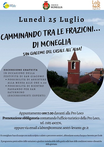 moneglia moneglia
