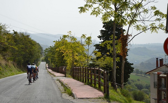 Granfondo Michele Scarponi Granfondo Michele Scarponi