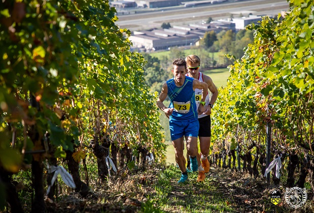Grosjean Wine Trail Grosjean Wine Trail