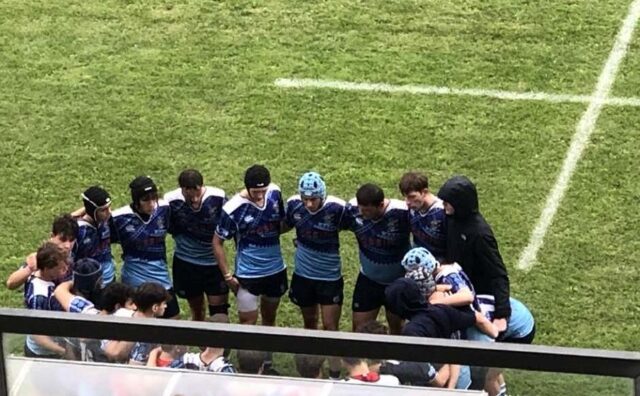 rugby rugby