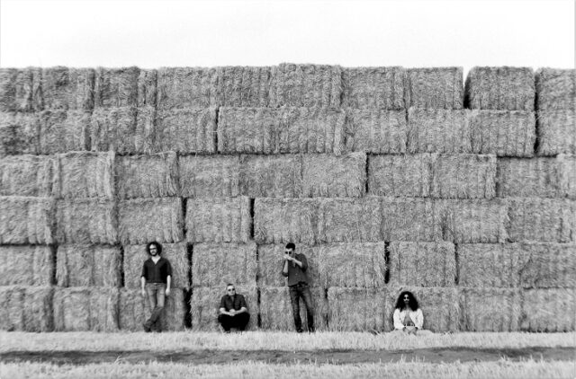 The Rootworkers The Rootworkers