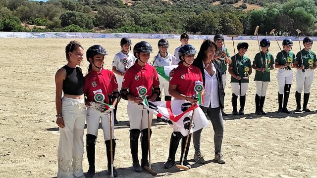 Polo pony Polo pony