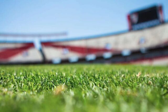 stadio calcio erba sintetica Calcio: I club di Seria A possono alzare il livello di gioco per la prossima stagione con nuovi trasferimenti